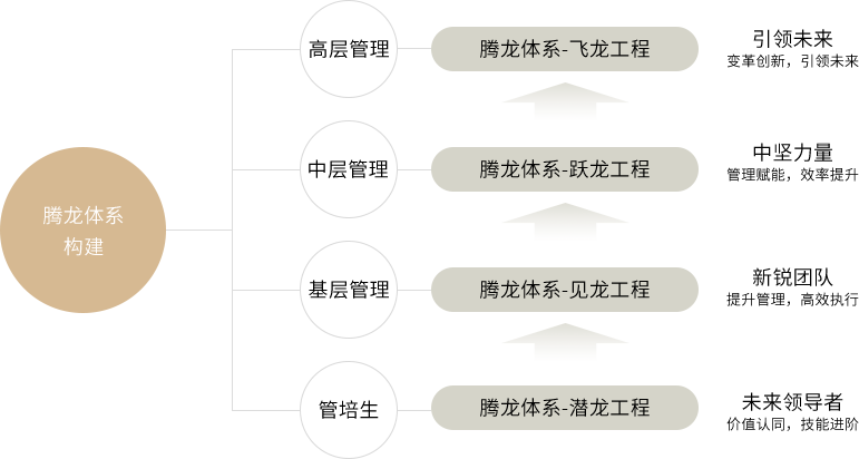 香港全年最全免费资料大全